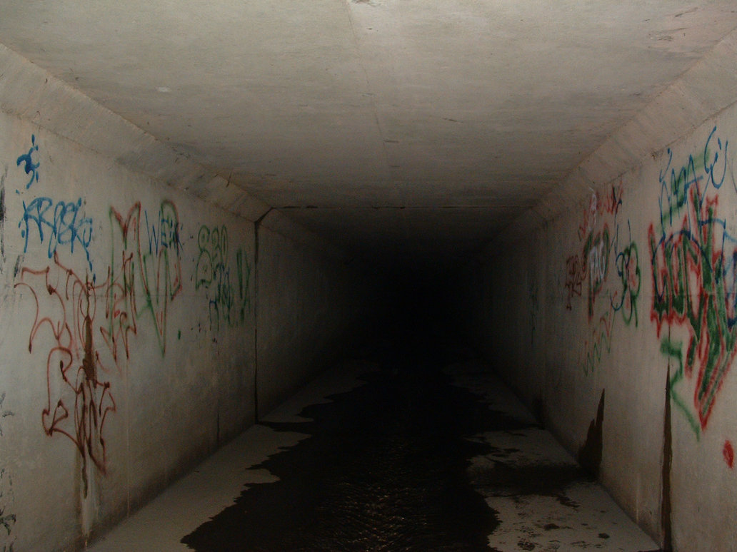 Bighead and Muffin Beneath The Neon Life and Death In The Tunnels Of Las Vegas