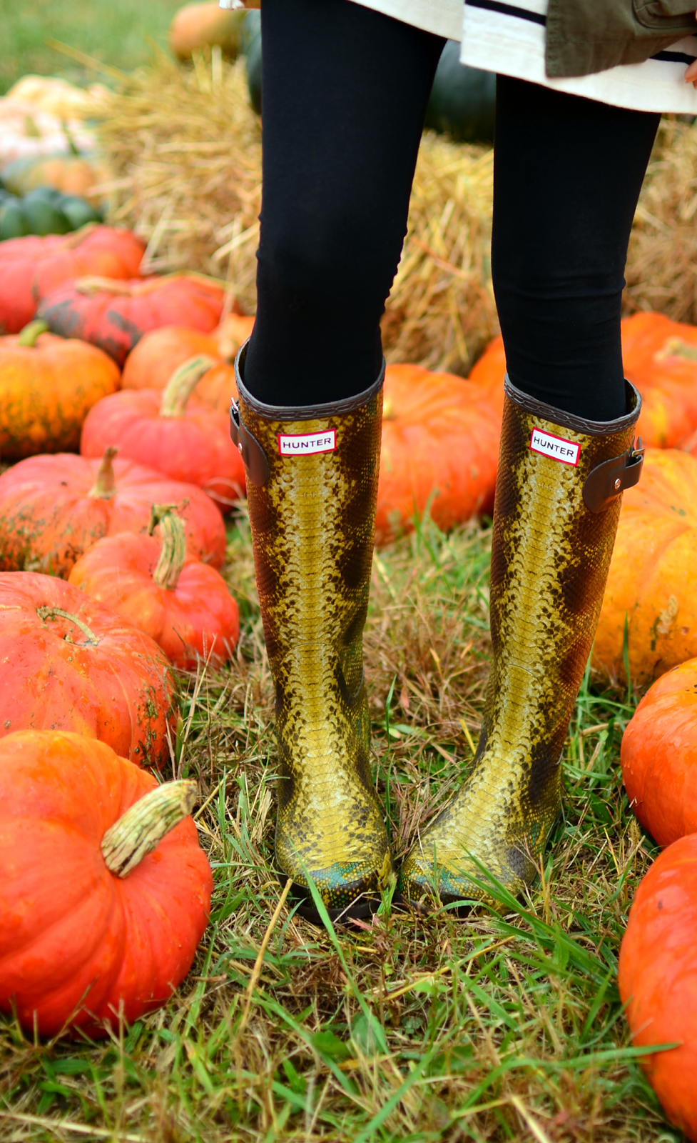 Loving Hunter Boots and Pumpkins MY SMALL WARDROBE