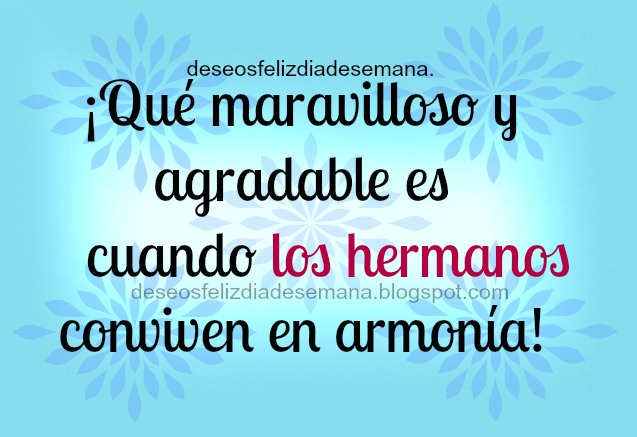 Imágenes de feliz cumpleaños con frase y osito de peluche