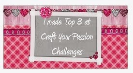 TOP 3 WINNER  CRAFT YOUR PASSION
