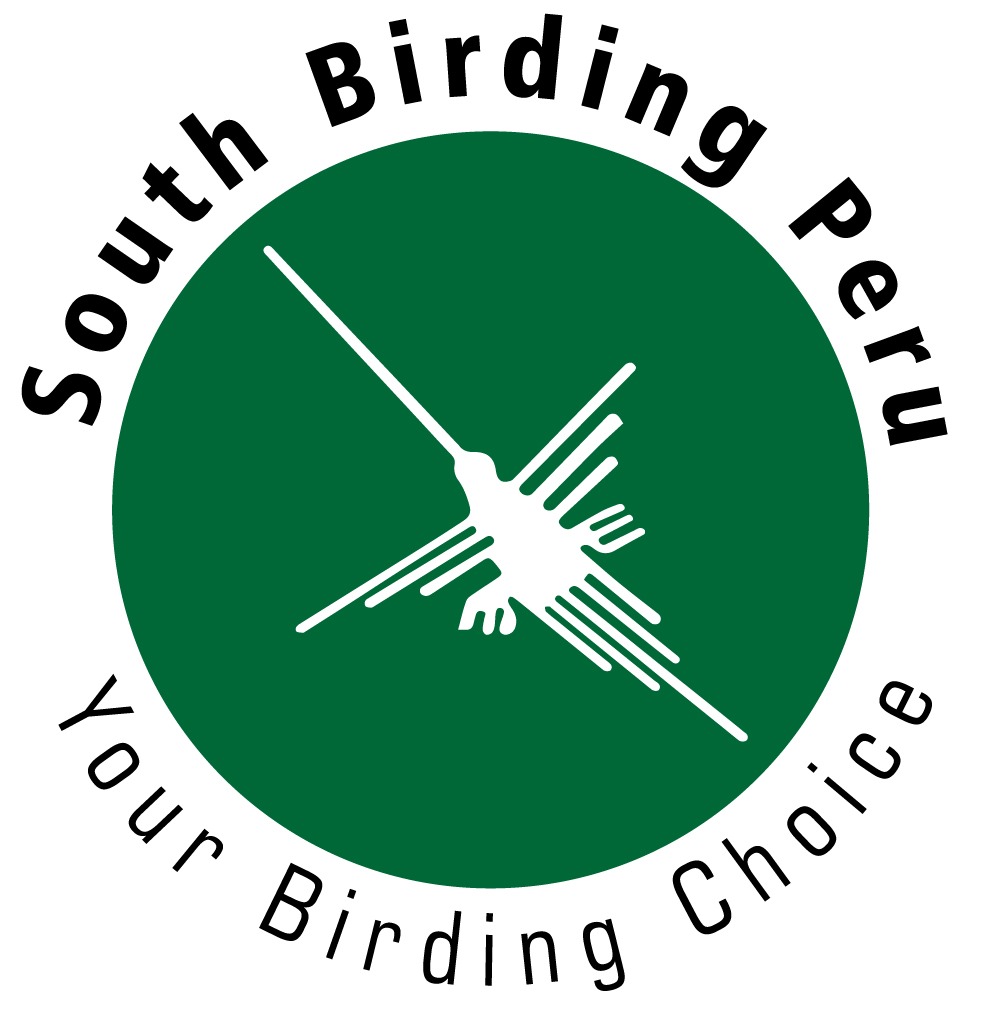 South Birding Perú