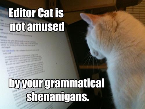 bea's book nook cat thursday editor cat is not amused Editor+Cat bea's book nook cat thursday editor cat is not amused