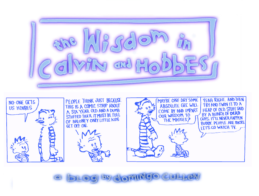 The Wisdom In Calvin And Hobbes