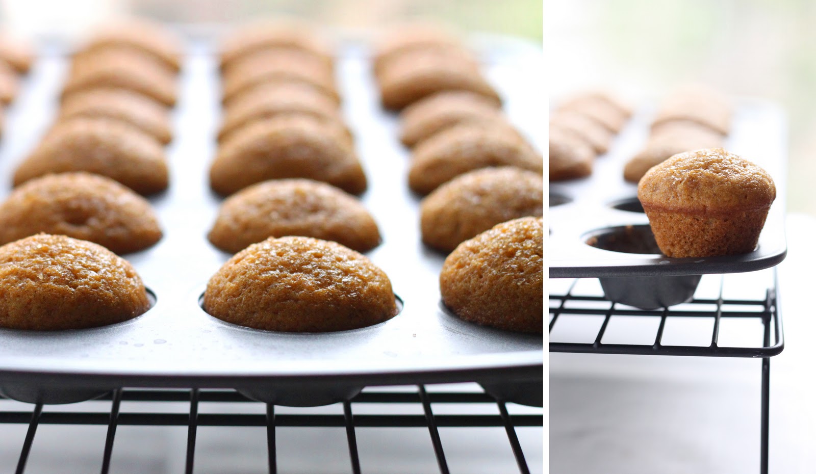 The Cilantropist: The Best Mini Pumpkin Muffins for Fall