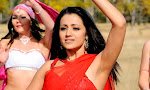 Trisha Krishnan photos from Namo Venkatesha-thumbnail