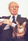 El gato de Borges