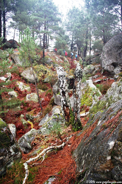 Randonner aux Trois Pignons, Fontainebleau, (C) 2014 Greg Clouzeau Randonner aux Trois Pignons, Fontainebleau, (C) 2014 Greg Clouzeau