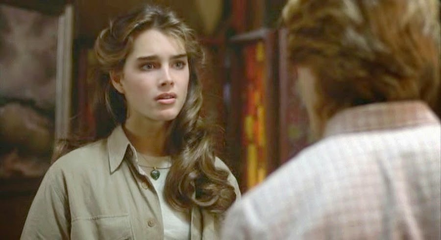 Brooke+Shields+Endless+Love+Video Brooke Shields Endless Love Movie http://filmovizia.blogspot.com/2011 ...