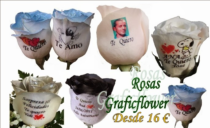  Rosas Graficflower