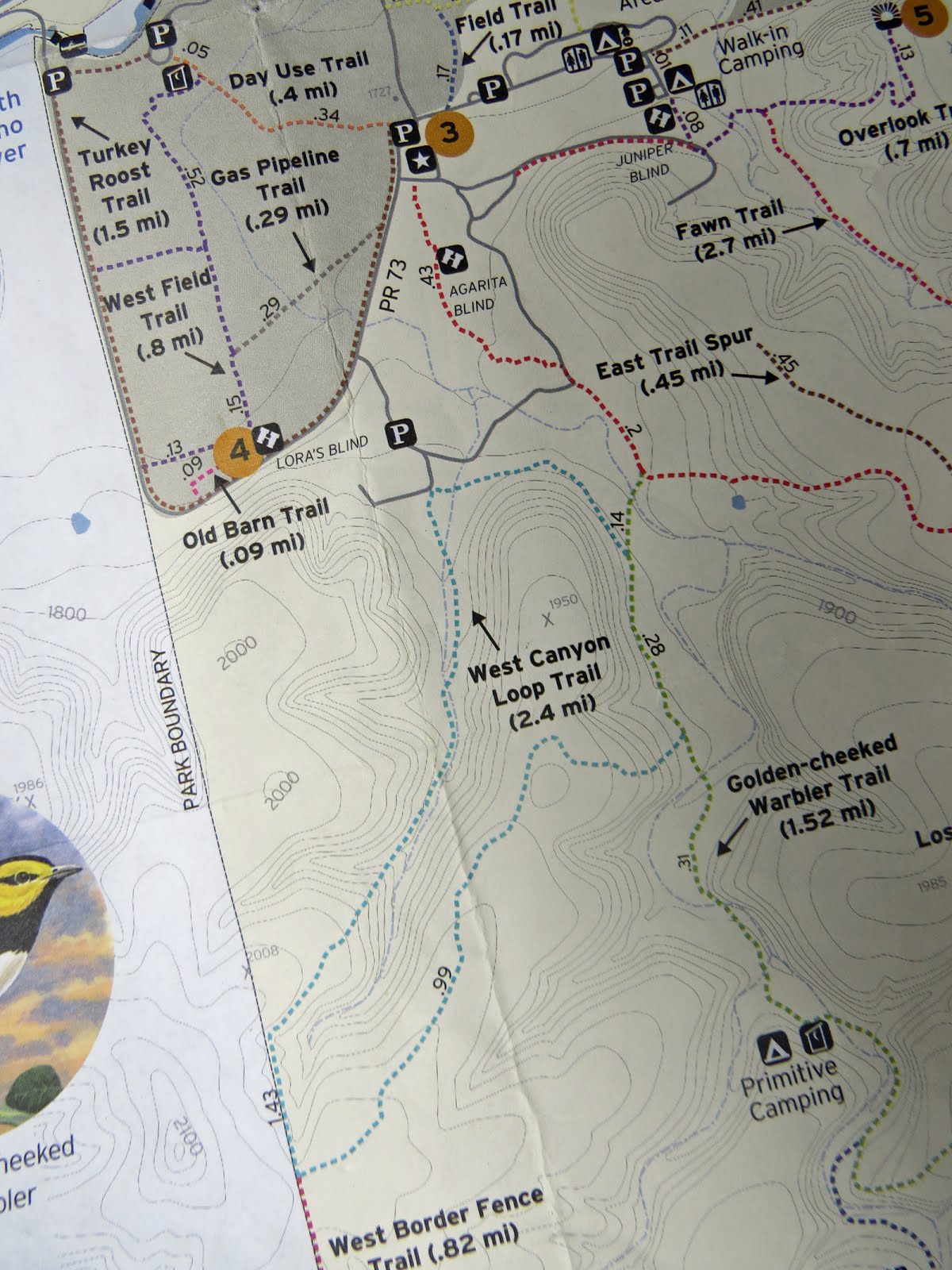 one thing to be aware of with texas state park trail maps is that the distances shown in bold for individual trails are for the actual trail segments and one thing to be aware of with texas state park trail maps is that the distances shown in bold for individual trails are for the actual trail segments and