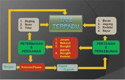 Sistem Pertanian Terpadu | Sistem Pertanian di Indonesia