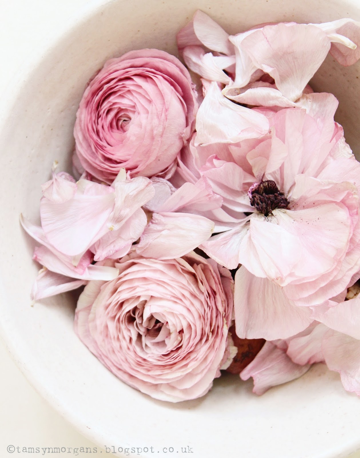 Pastel Pink Petals The Villa on Mount Pleasant