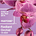 El color de moda en 2014 será el Orquídea Radiante