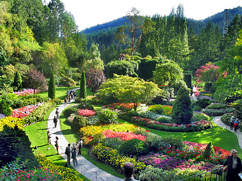 flowers for flower lovers.: July 2011