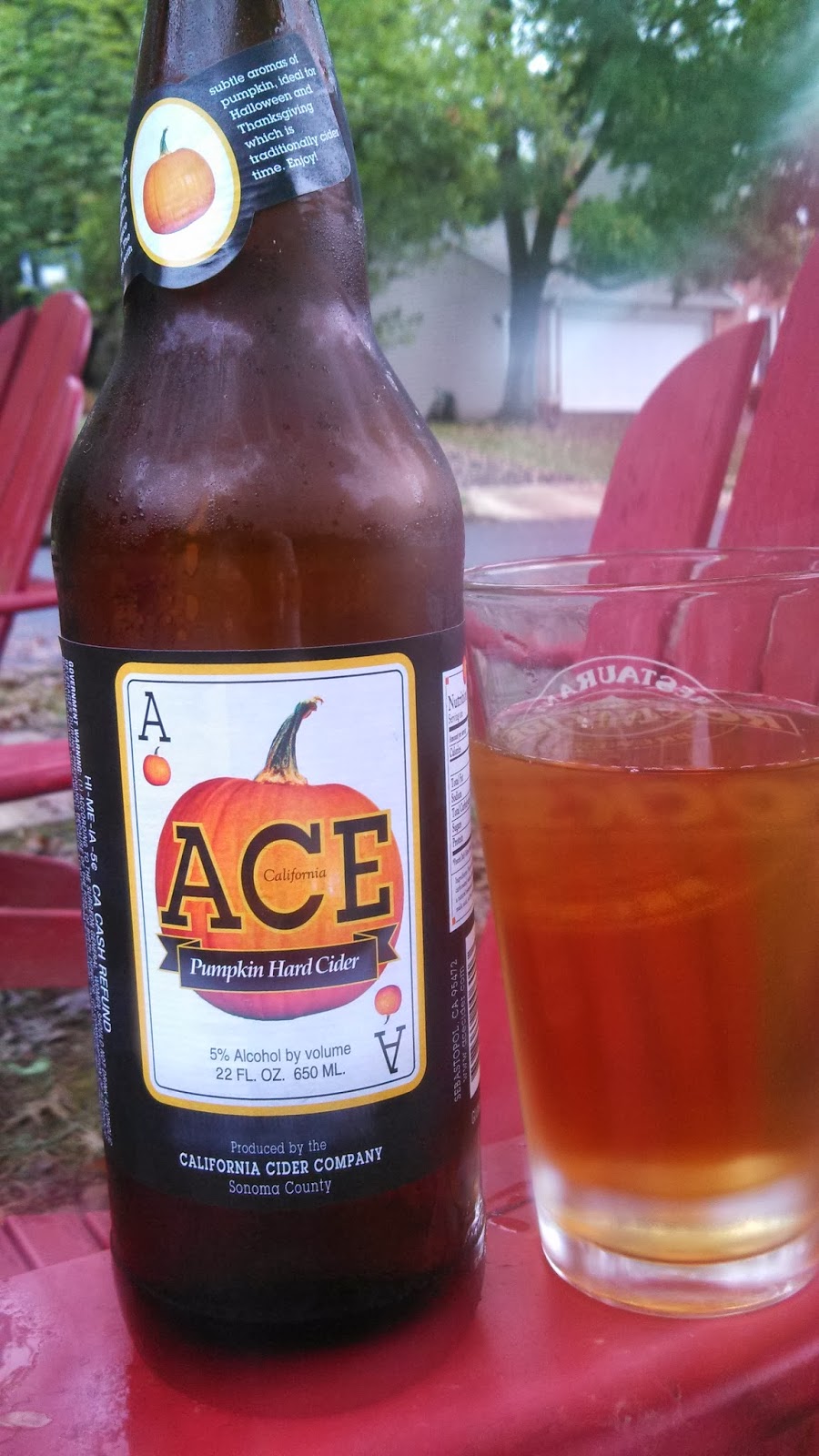 Ace Pumpkin Hard Cider Apple Pumpkin Pie in a bottle