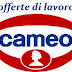 Assunzioni Cameo, Offerte di Lavoro per Laureati: Requisiti e Posizioni Disponibili