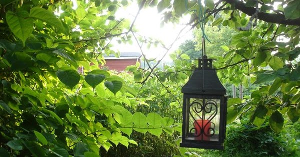 tänä yönä ystävä sukupuoli tänä yönä ystävä sukupuoli