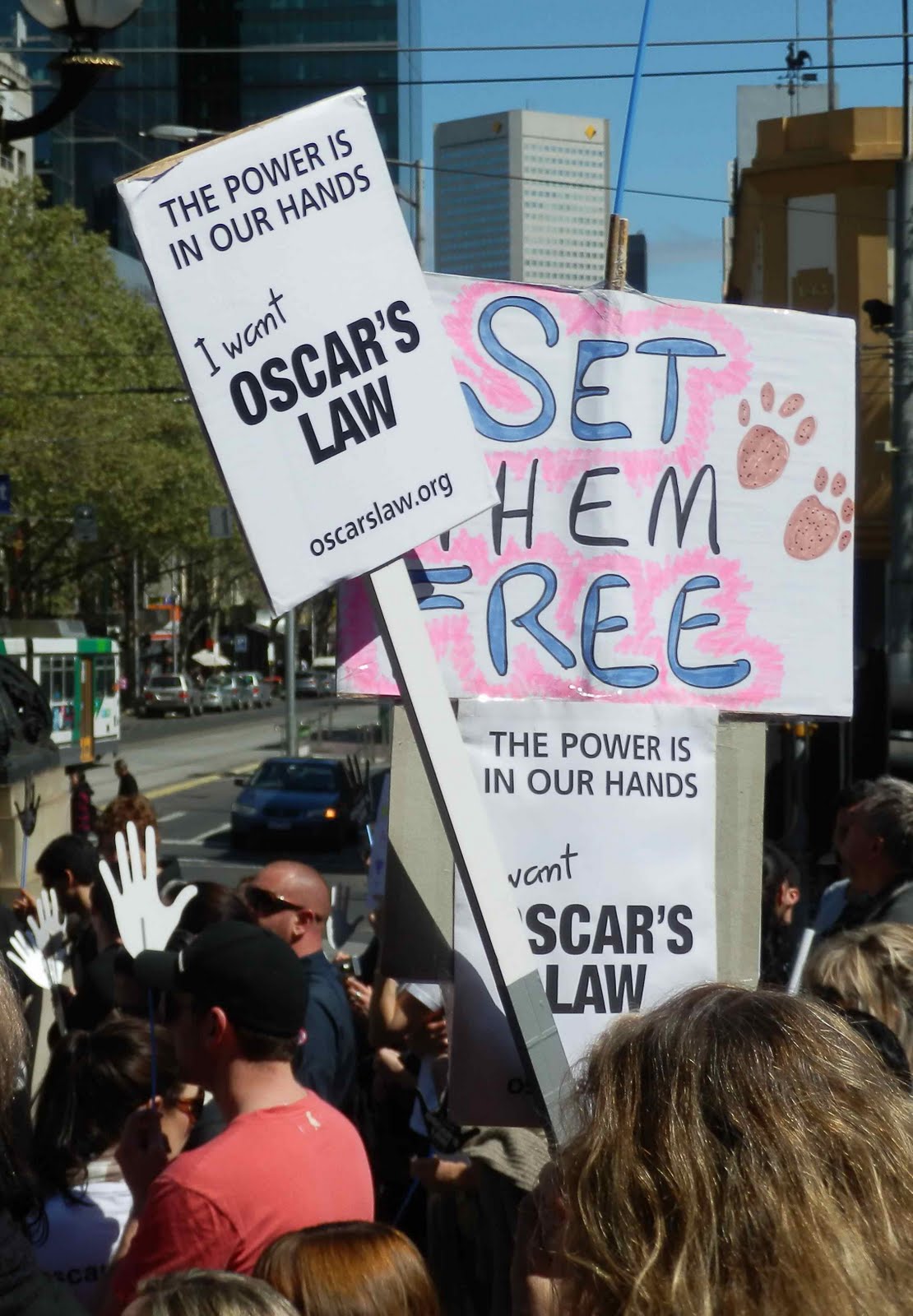 oscars law The baltimore county council has passed oscar's law – legislation requiring animals be brought indoors during extreme temperatures. oscars law The baltimore county council has passed oscar's law – legislation requiring animals be brought indoors during extreme temperatures.