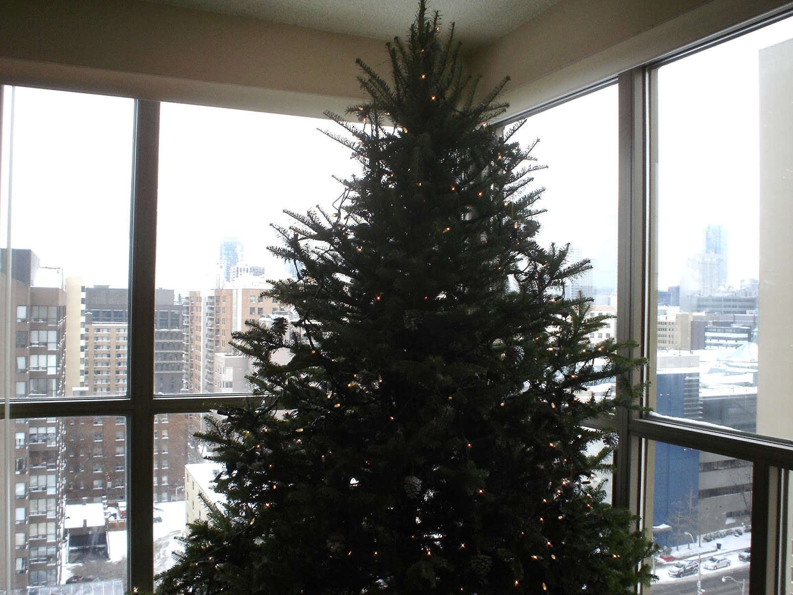 L'Heure Bleue At Home: Vintage Christmas Trees