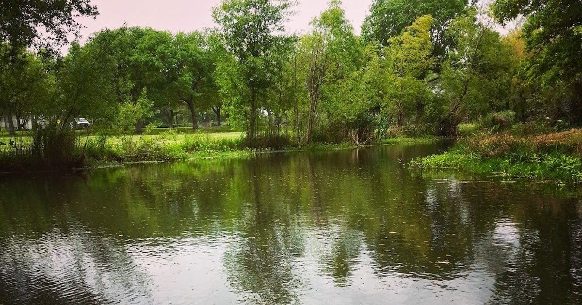 Ecofriendly Places to Visit in Louisiana Eco Cajun