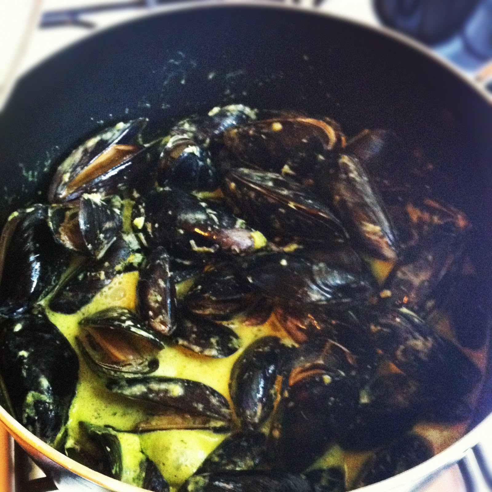 No Time Like Food Time Thai Coconut Green Curry Mussels