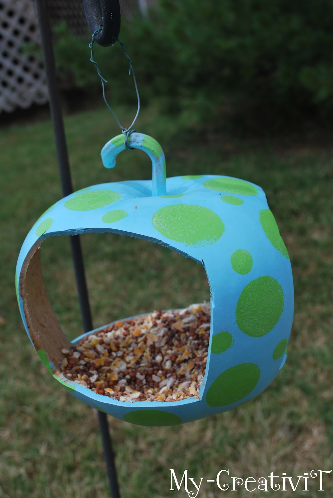 MyCreativiT Gourd Birdhouse and Feeder