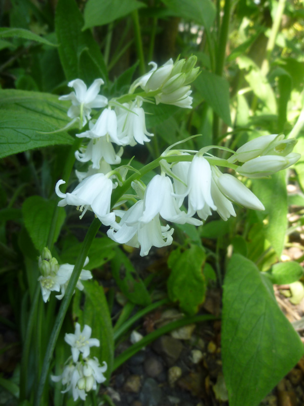 Living On The Edge..... Look What I Found