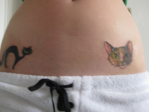 Tattoo Cat Tattoo Cat