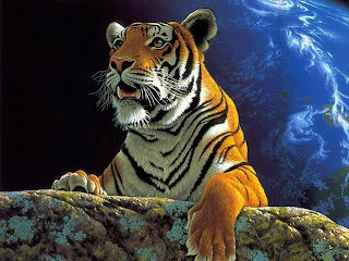 Fondo de pantalla HD gratis felino | Imagenes y Fondos de Pantallas