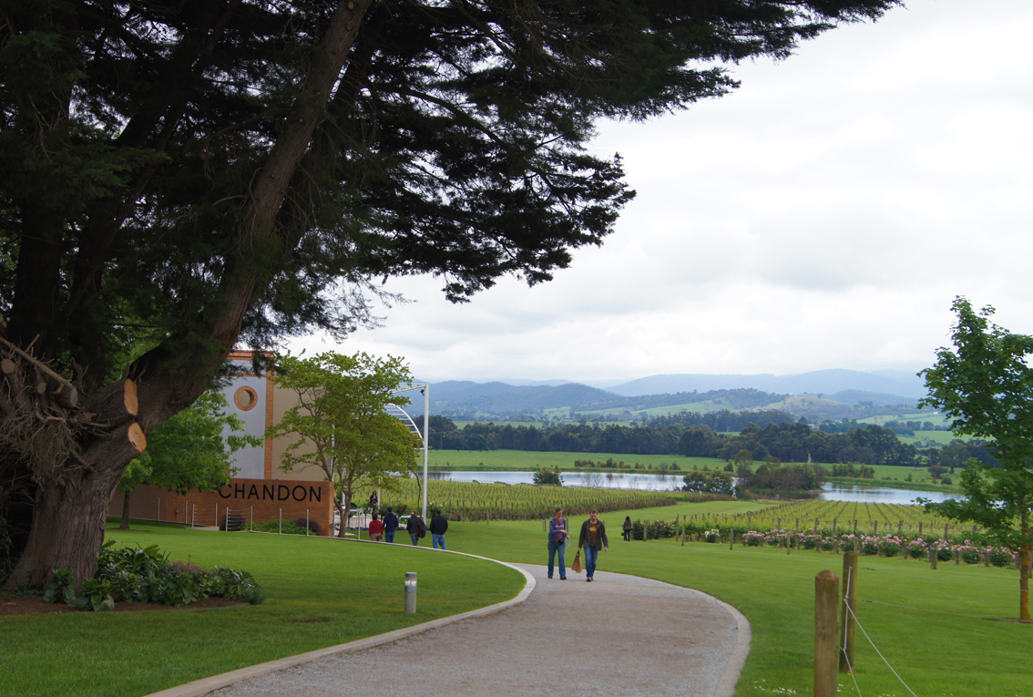 NixPages: DOMAINE CHANDON AT THE YARRA VALLEY