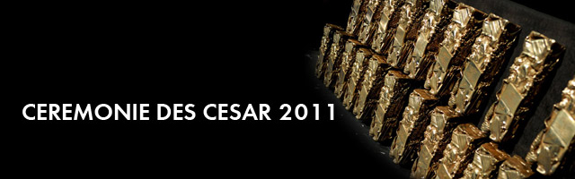 Pack Cesar S Dog Food Pack Cesar S Dog Food