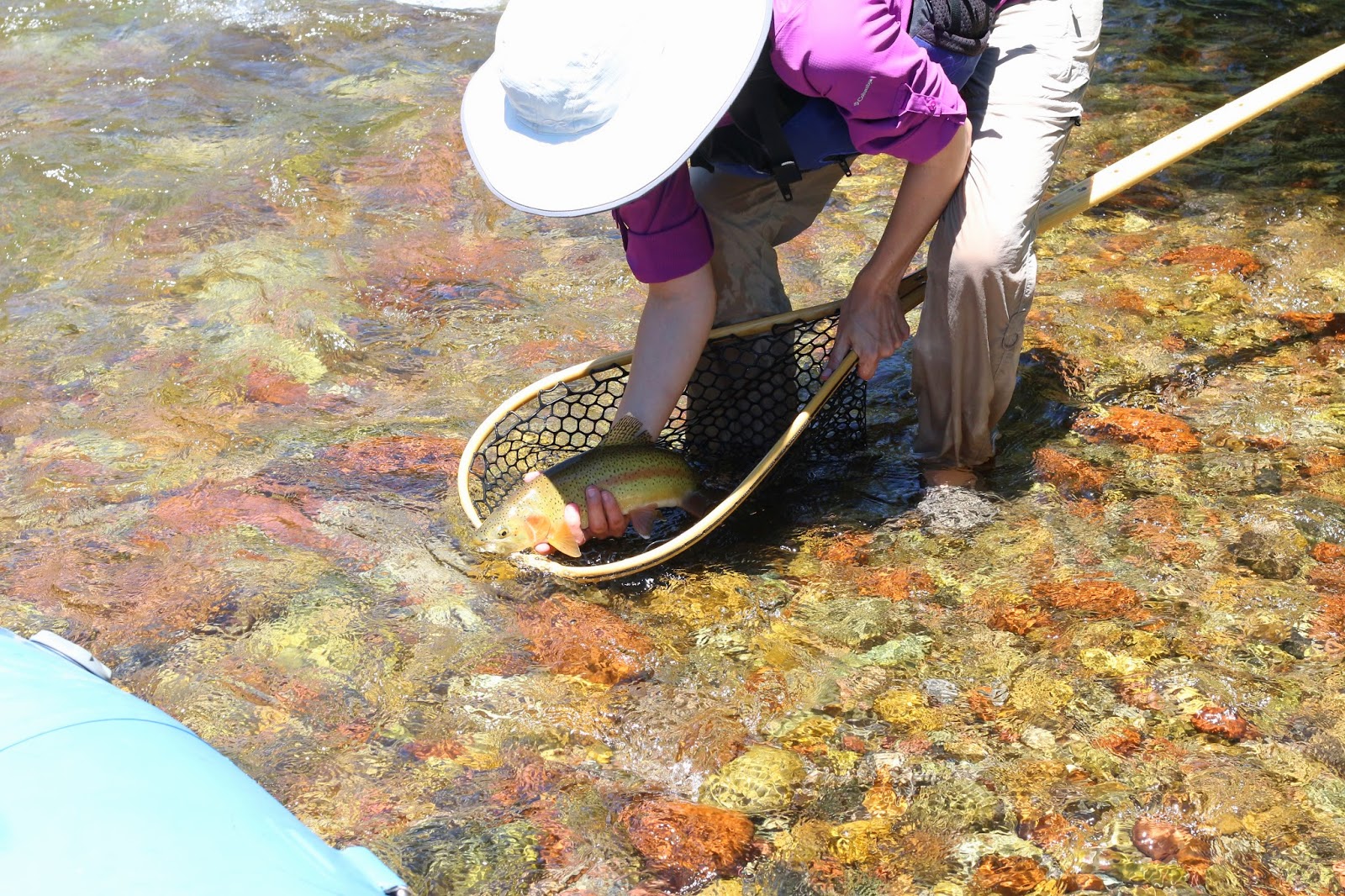 Fly+Fishing+on+the+Roaring+Fork+River+Summer+2014+with+Jay+Scott+Outdoors+2.JPG