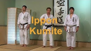 Ippon Kumite SKI