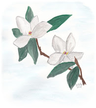 Magnolia