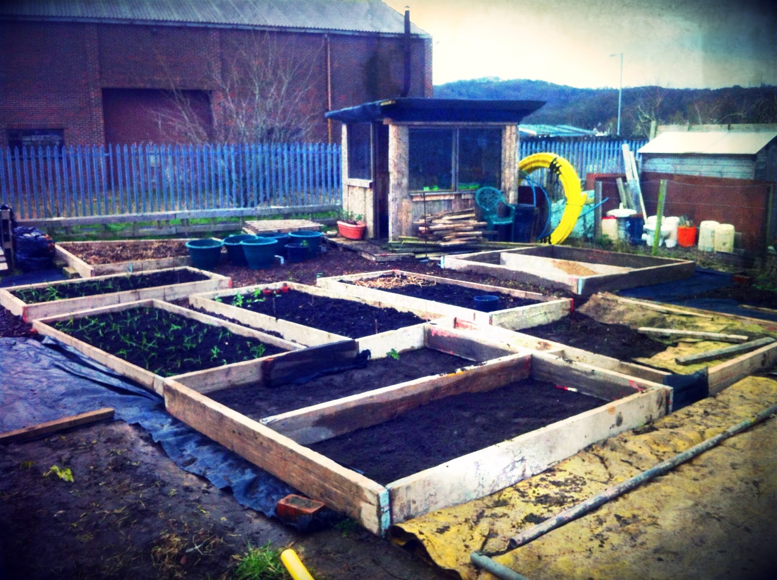 My Yorkshire Allotment The Pallet shed build