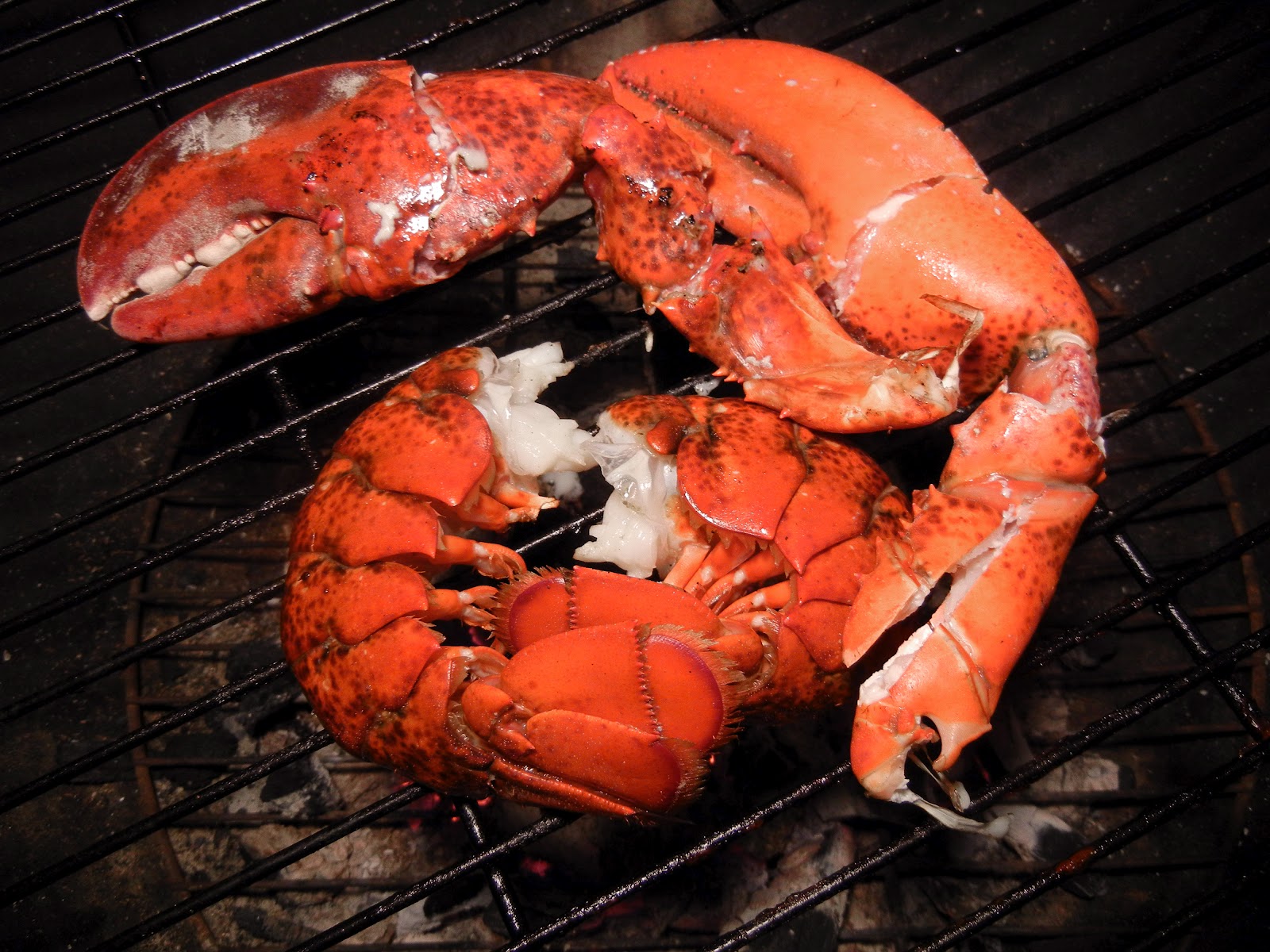 Grilled lobster with fiddleheads