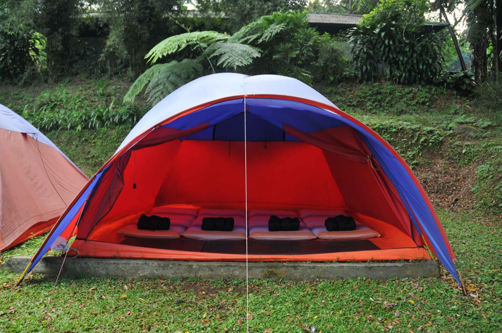 Eagle Hill Camp Tempat Wisata Camping Keluarga Di Bogor