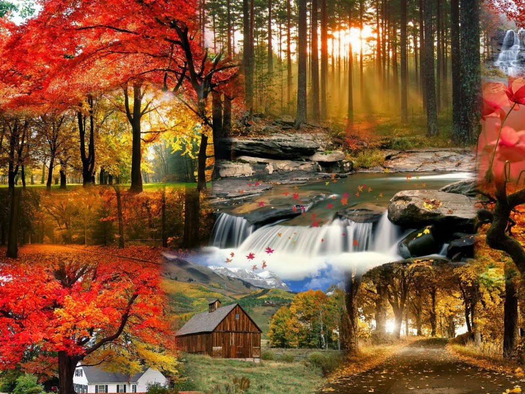 Paisajes de otoño para fondo de pantalla - Imagui