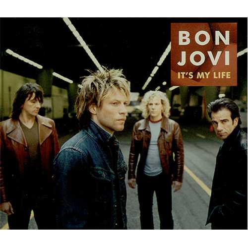 Bon Jovi It's My Life multitrack flac