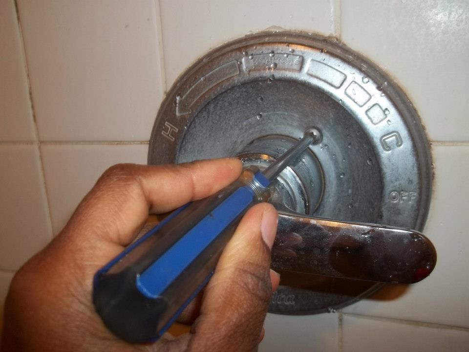 HELP! My Shower is Leaking! One Brown Mom