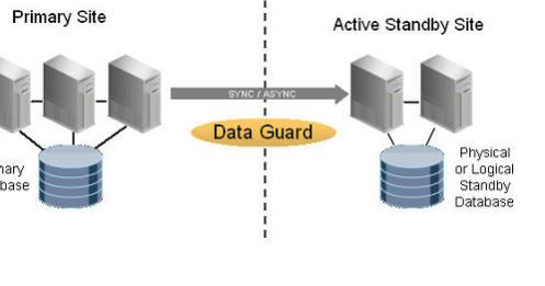 Analyst functional job oracle support