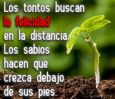 [Frase Felicidad]