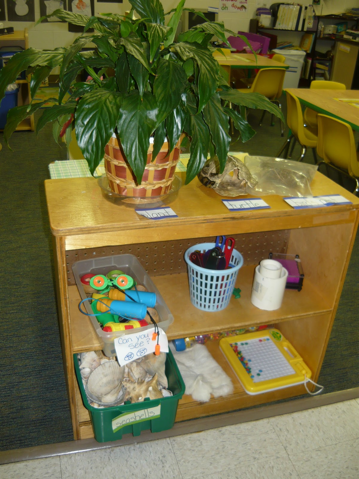 Melissa's World: My classroom- Big ideas in a small space