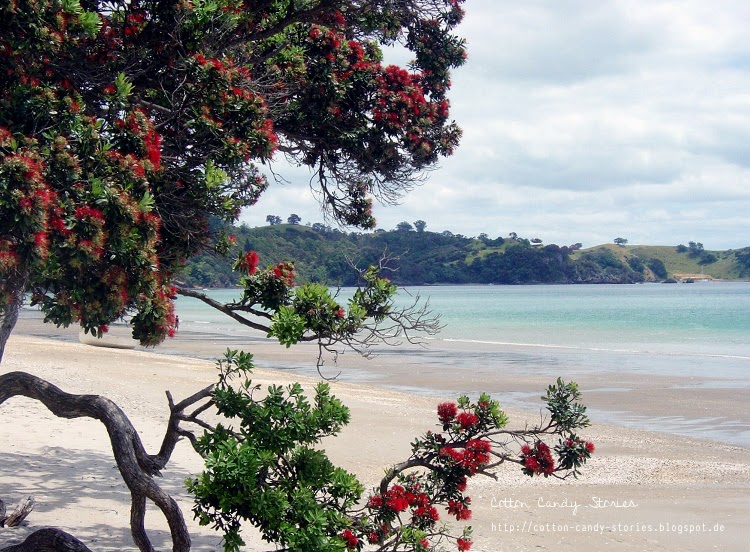 Cotton Candy Stories Reiseblog Reiseberichte Stadtfuhrer Und Roadtrips Waiheke Island Neuseeland