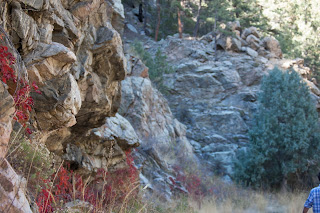 Realtor Colorado Springs | Colorado Springs Estate Real | 80906 | 80903 | http://www.benhomes.com