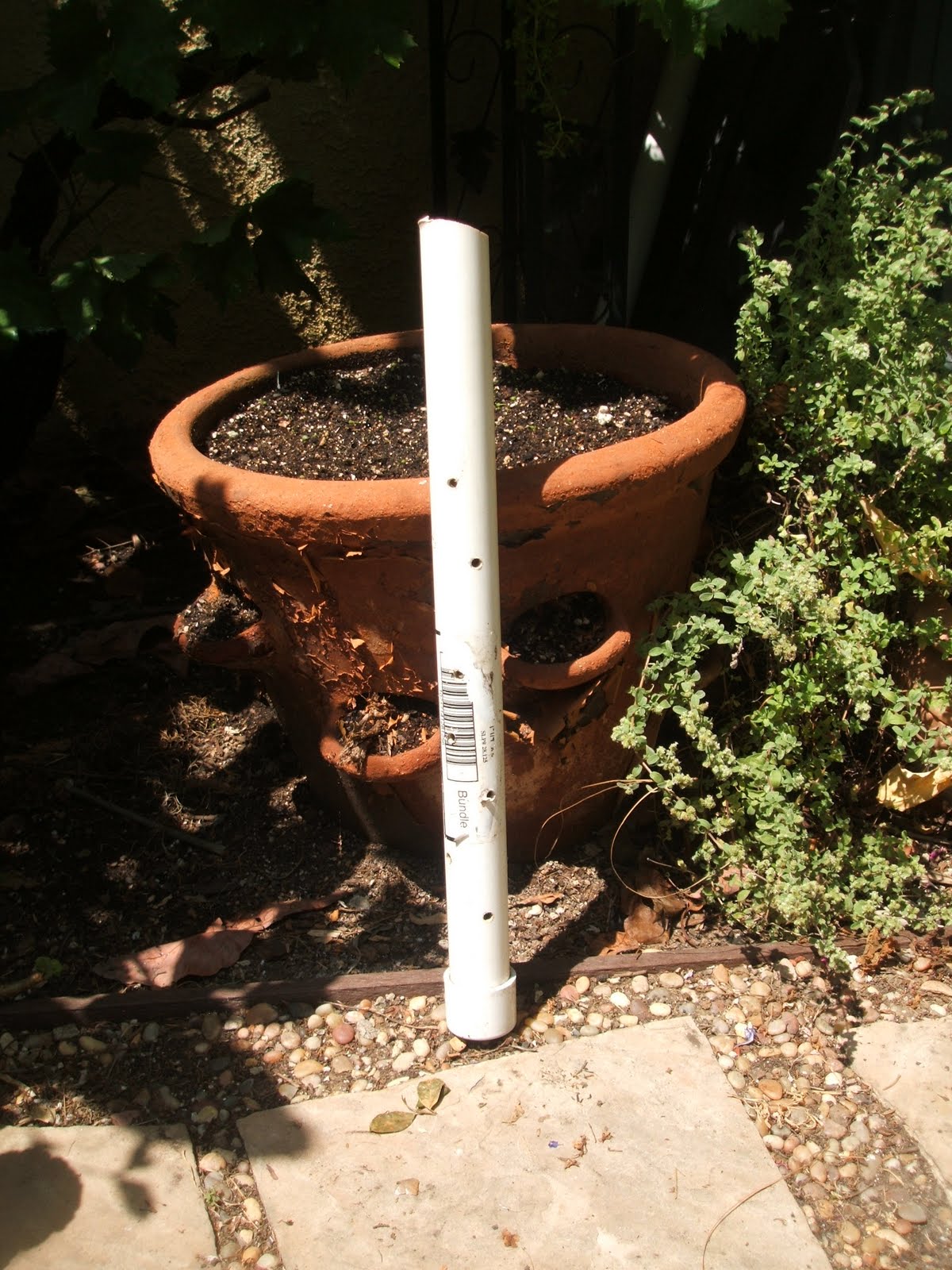 Frugal Garden Girl PVC Pipe Does Deep Irrigating