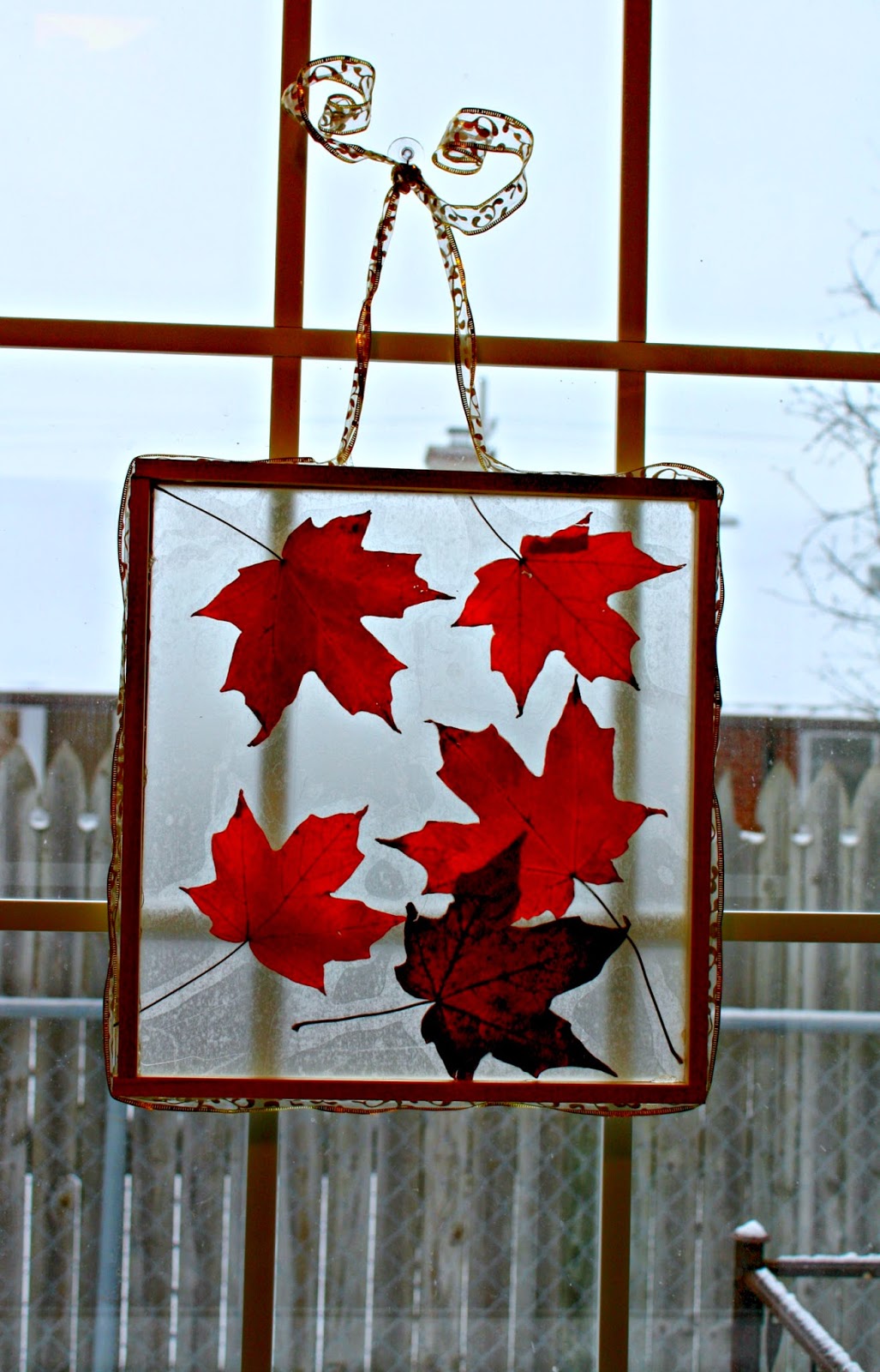 Fall Leaf Sticky Window Activity (with an alternative to contact