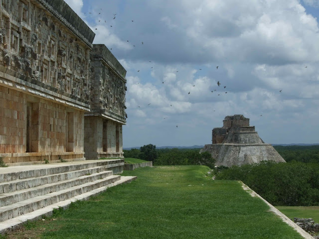 México a nuestro aire - Blogs de Mexico - 05-08-2010 Mérida y Uxmal (4)