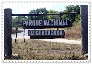 d+gorongosa.jpg