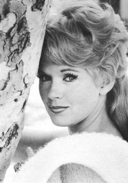 Hot connie stevens 15 Huge